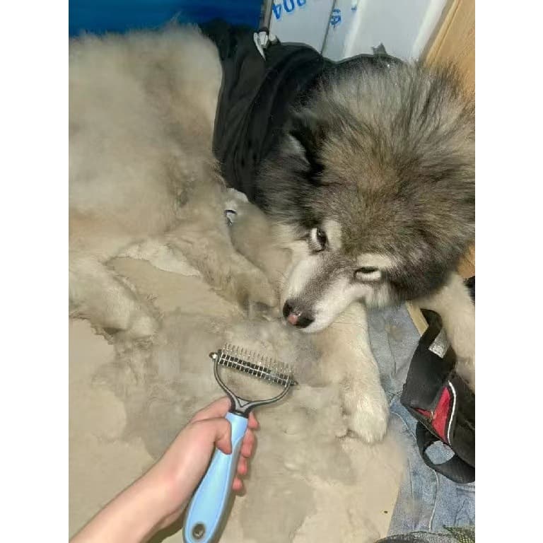 PET  GRANDE Desembolador de Pelos Longos para Cachorro Gato Pet Escova Pente Rake Pet Shop Groomer Simples e Duplo