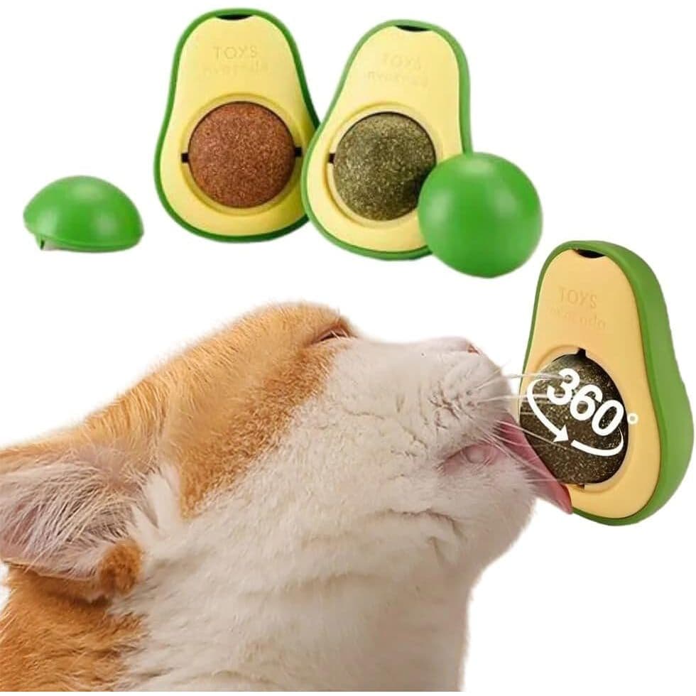 Abacate para Gatos Com Catnip Erva Gato Natural