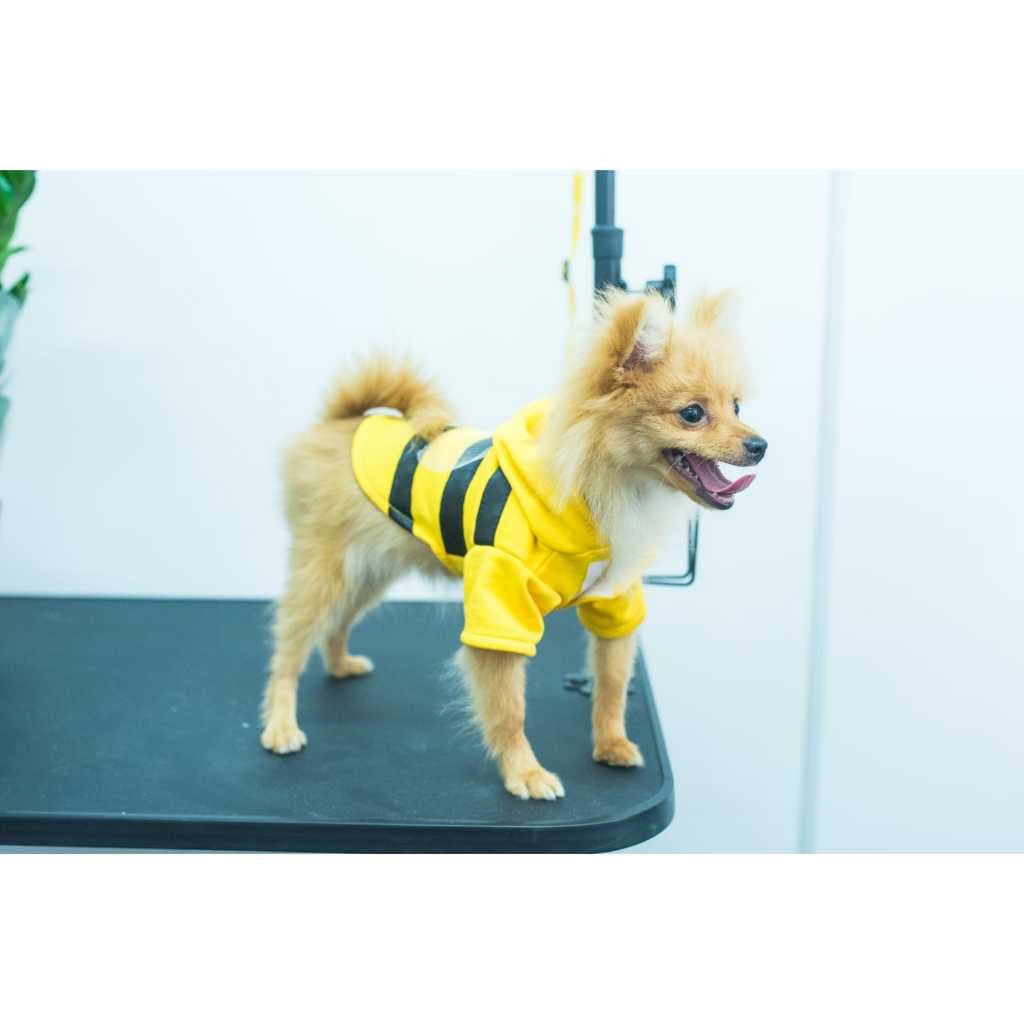 ROUPA FANTASIA PET ABELHINHA ROUPINHA PET ABELHA PARA CACHORRO E GATO