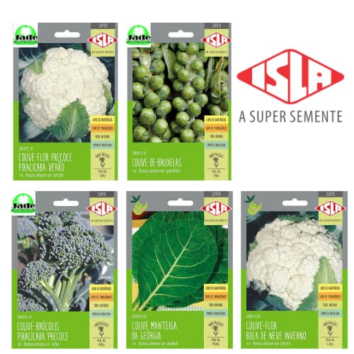 sementes verduras legumes hortaliças monte sua horta escolhendo as sementes
