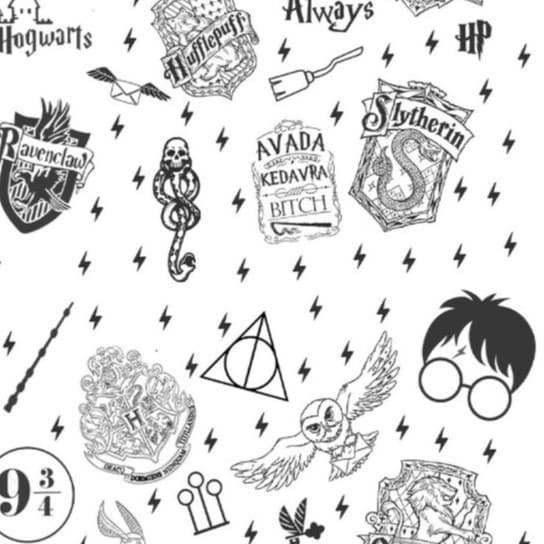 Papel de Parede Adesivo Autocolante Quarto Harry Potter 1,00m