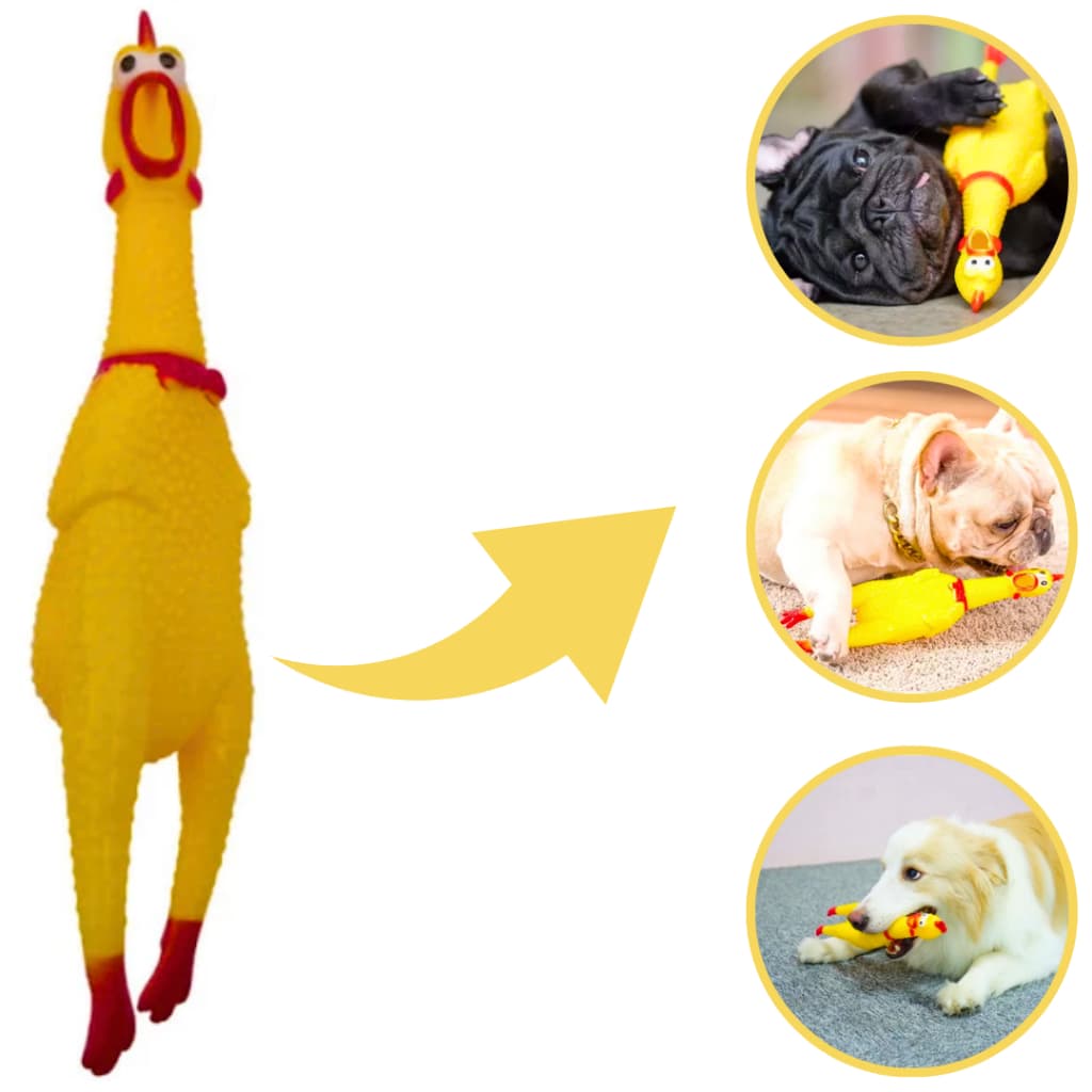 Mordedor Pet Frango Borracha Para Cachorro Galinha