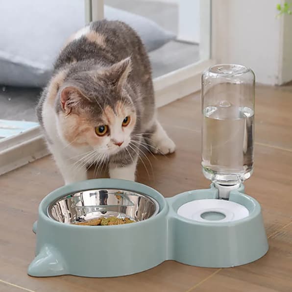 Comedouro 2 em 1 Para animais de estimação Cachorros E Gatos Filhotes Raças Pequenas
