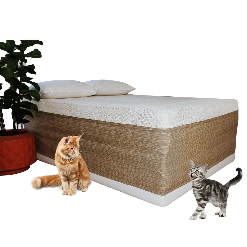 Saia Cama Box Arranhador E Protetor Gatos Acquablock