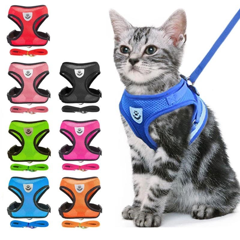 Guia Coleira de Malha Flexível com Colete Peitoral Ajustável para Cão Cachorro Gato Animais
