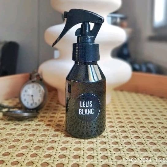 Aromatizador de Ambiente Lojas de Grife Cheirinho ALECRIM LELIS B 100ml Spray