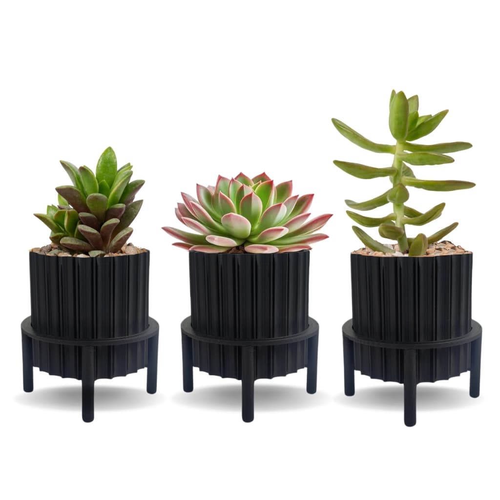 Kit com 3 Vasos Cachepot de Suculenta Flor Decoração Casa + Suporte