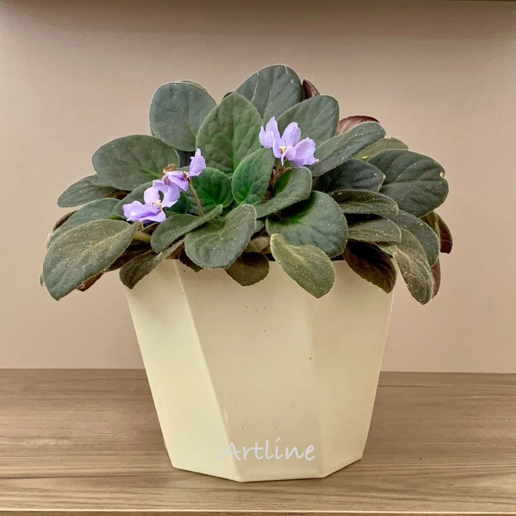 Kit 3 Vasos de Plantas Cachepô Torcido Nº3 Injetado Decorativo