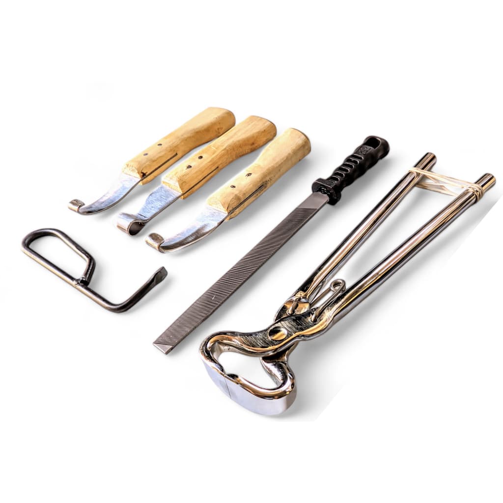 Kit P/ Ferrador Equino Casqueamento Cavalo