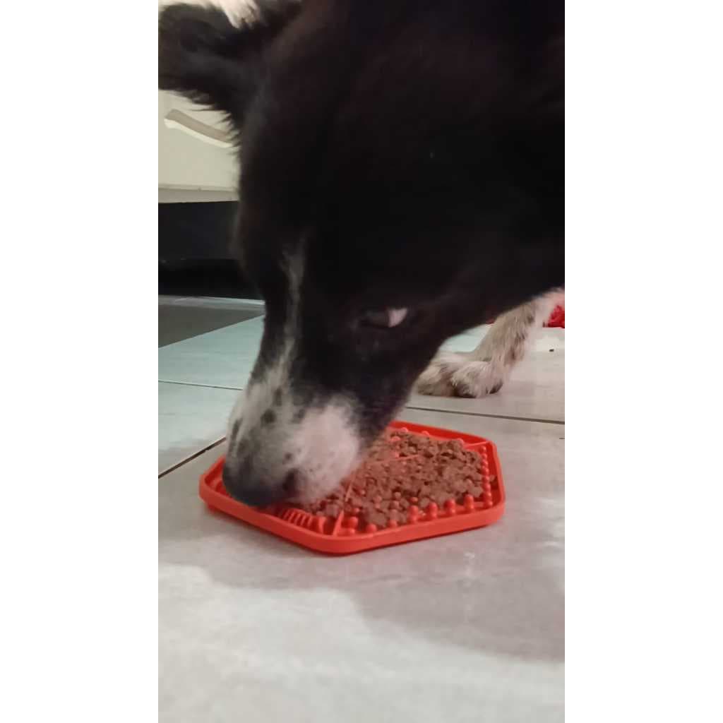 Tapete lambe lambe, Forminha Pet de Sorvete, Comedouro Interativo Ração 2 D, Cães e Gatos