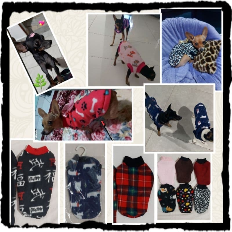 Roupa para cachorro , P , roupa pet , acessório pet , inverno , pinscher , dog , filhotes , banho e tosa