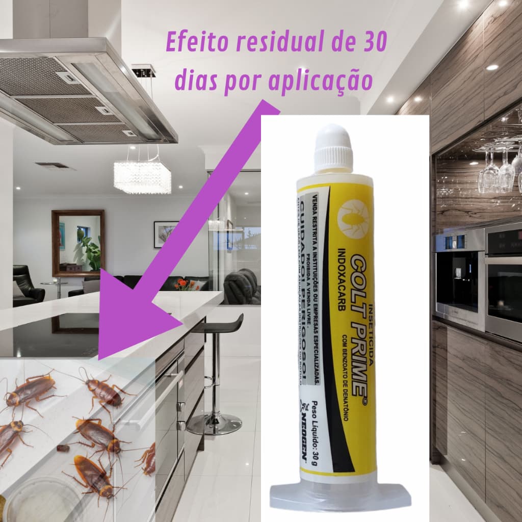 Gel 30g Mata Baratas Francezinhas Dentro de Casa Em Armarios