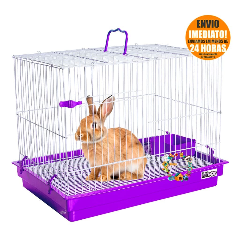 Gaiola Para Coelho Grande Criadeira Porquinho Da India Premium Promoção