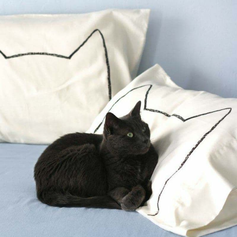 Kit 2 Fronhas de Travesseiro casal Gatinho - capa de travesseiro cachorro