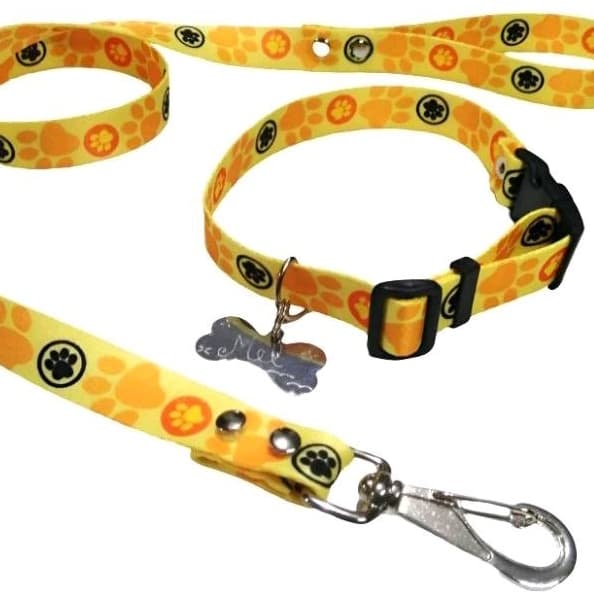 Kit Coleira Pet com GUIA e Identificação Personalizada . Amarela / patinhas 20mm .