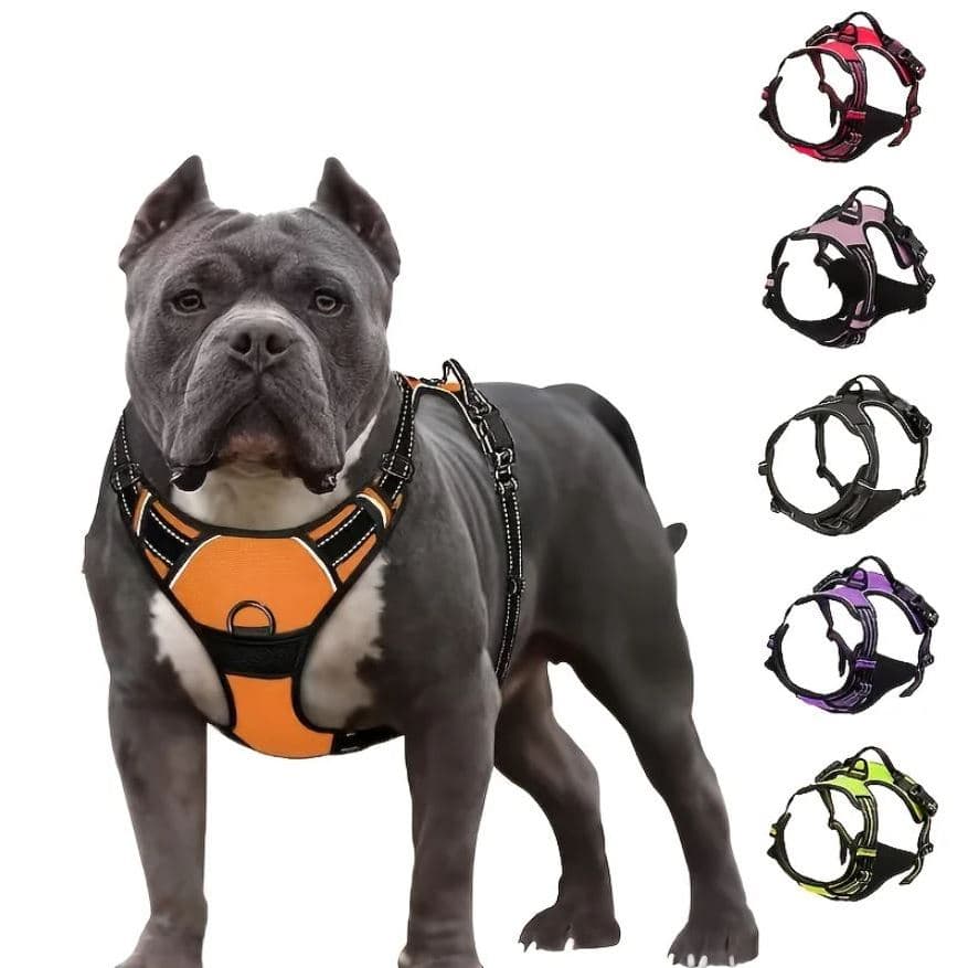Peitoral Coleira Super Reforçada Refletiva C/ Regulagem Cachorro Grande e Médio Porte Passeio Pet LR-0189