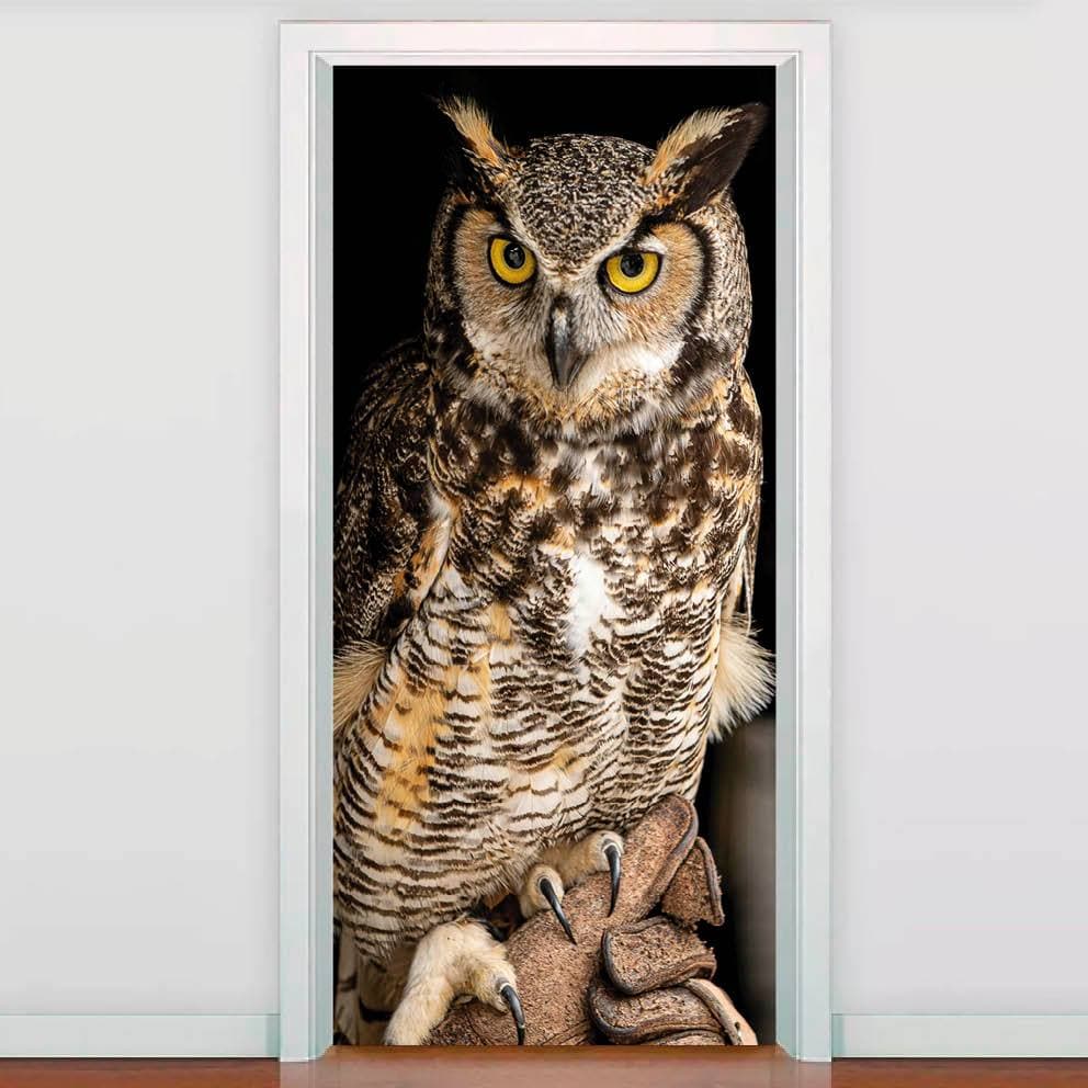 Adesivo Decorativo de Porta Coruja