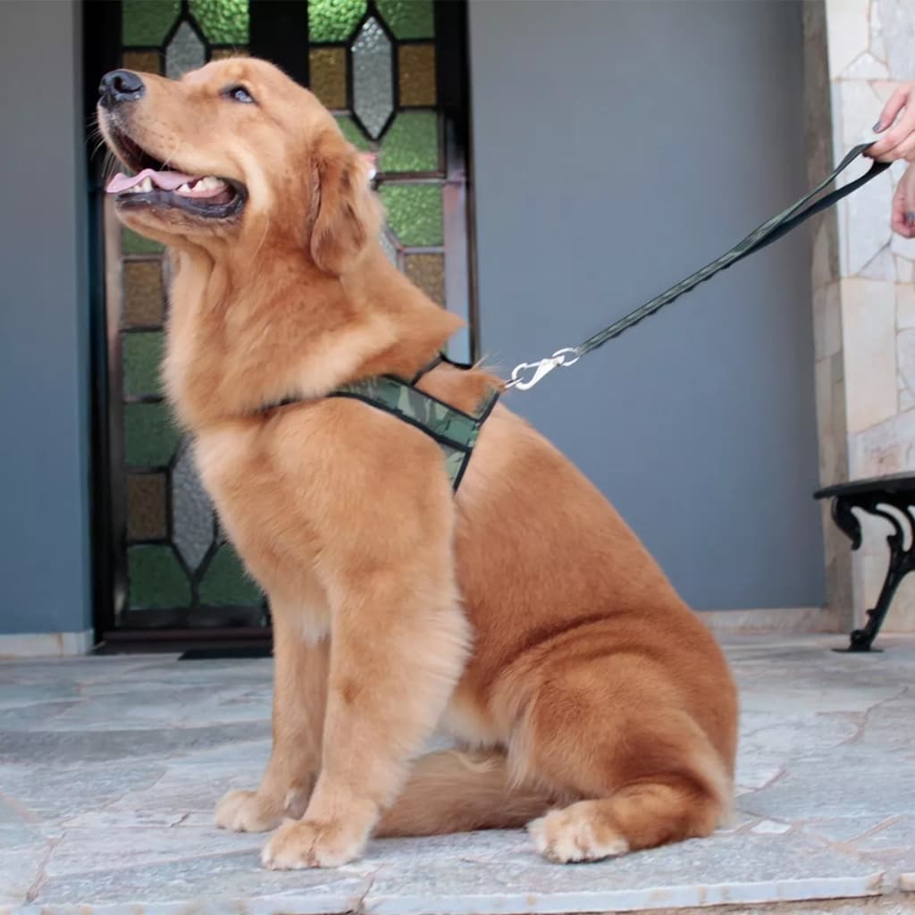 Coleira Peitoral Ajustavel Tamanho Guia Passeio com Mosquetão Para Cachorros Grande e Fortes