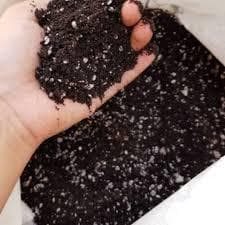 Substrato Orgânico 1Kg Horta Jardim Gramados Flores Orquídeas Cactos Samambaia Rosa do Deserto