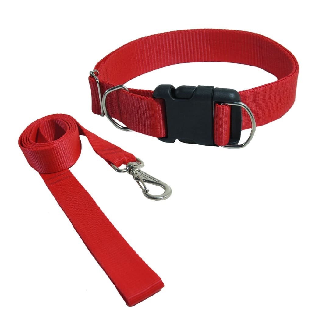 Coleira e Guia para Cachorro Grande Ajustável Nylon Reforçado para Passeio
