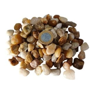 Cascalho 1 KG Conchinhas Ornamento Decorativo Naturais Mar Aquário Marinhas Artesanato Vasos