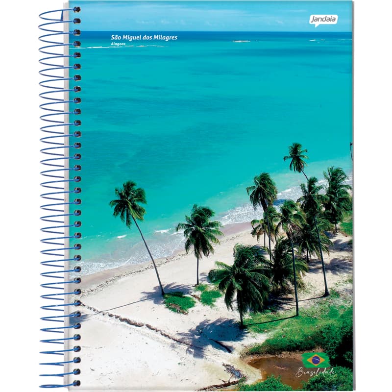 Caderno 1/4 Pequeno Capa Dura 200 Folhas Brasilidade - Jandaia