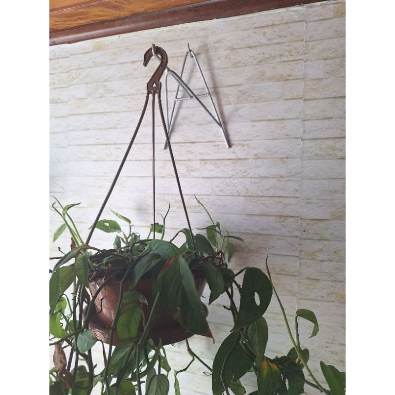 Suporte de ferro para plantas