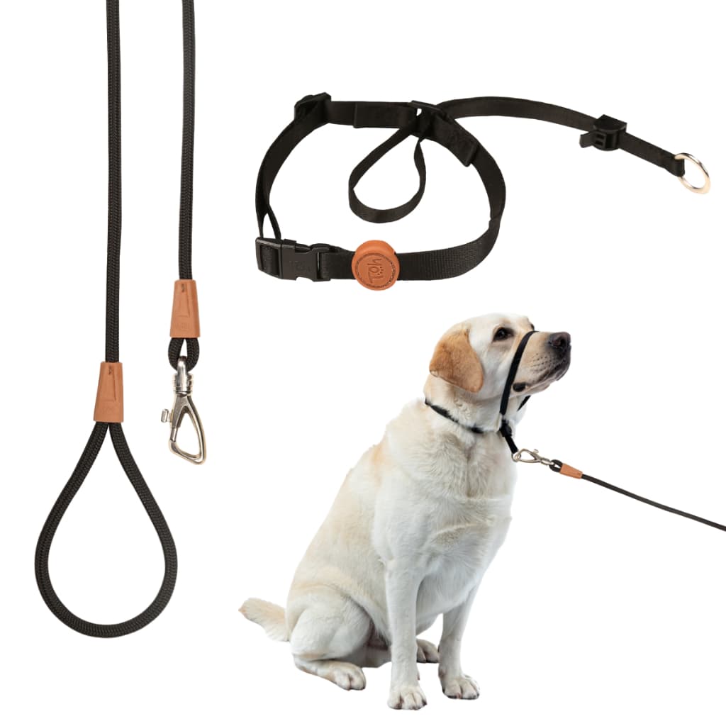 Conjunto Coleira Cabresto Anti Puxão Cachorro Guia Corda 1,20m American Bully Pitbull Adestramento