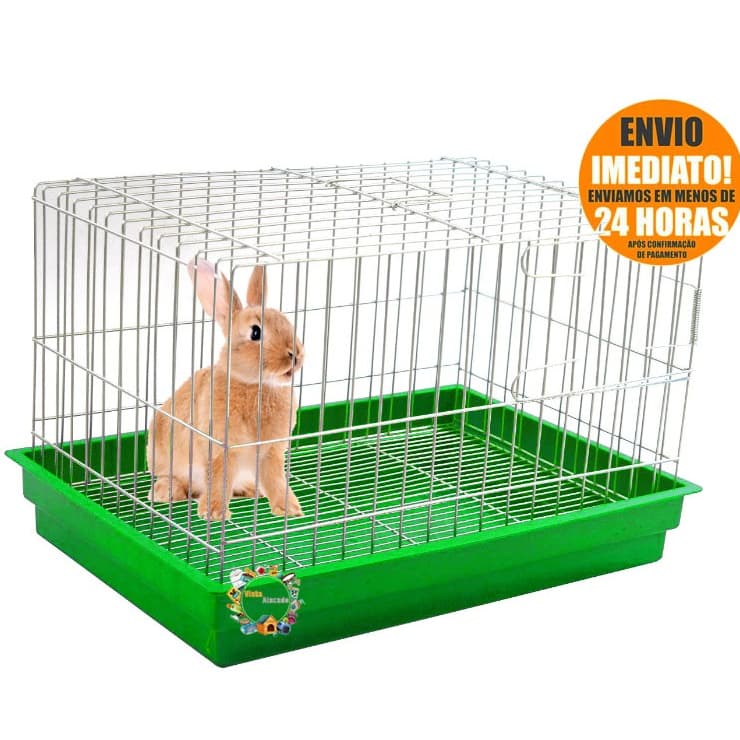 Gaiola GRANDE Para Coelho Grande Roedores Mini Coelho Chichila Porquinho da India (BANDEJA REMOVIVEL
