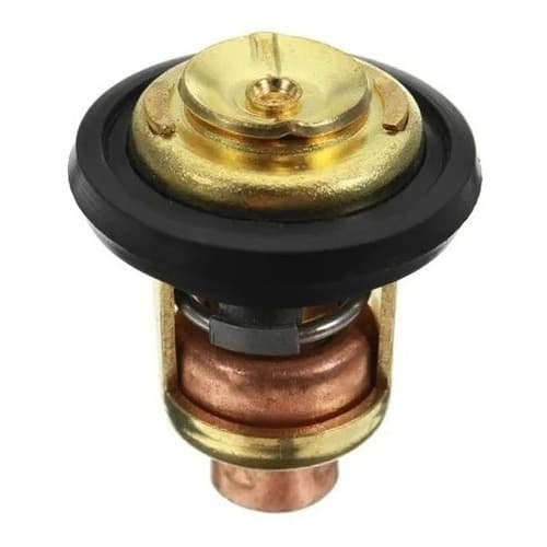 Válvula Termostática Motor De Popa Yamaha 15 25 30 40 220hp