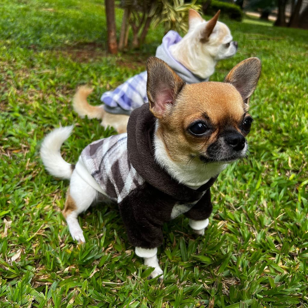 Roupa pet inverno casaco de fleece para cachorro e gato