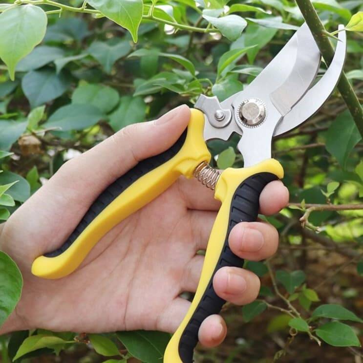 Tesoura De Poda Profissional