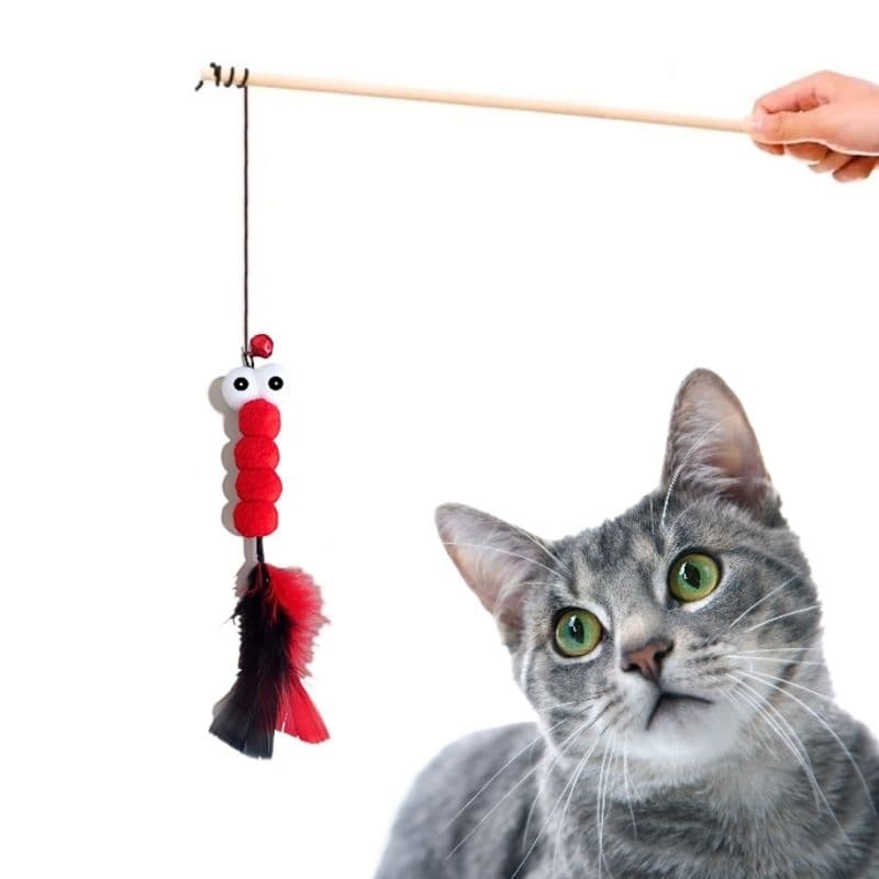 Varinha para Gato brinquedo interativo com libélula e penas, vara do gato brincar