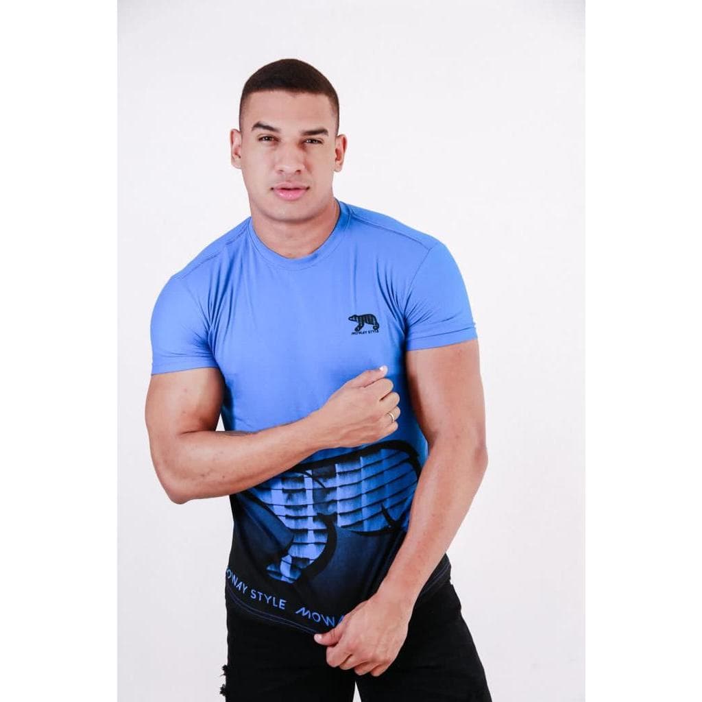 Camiseta Masculina Lisa Premium 100% Algodão Promoção