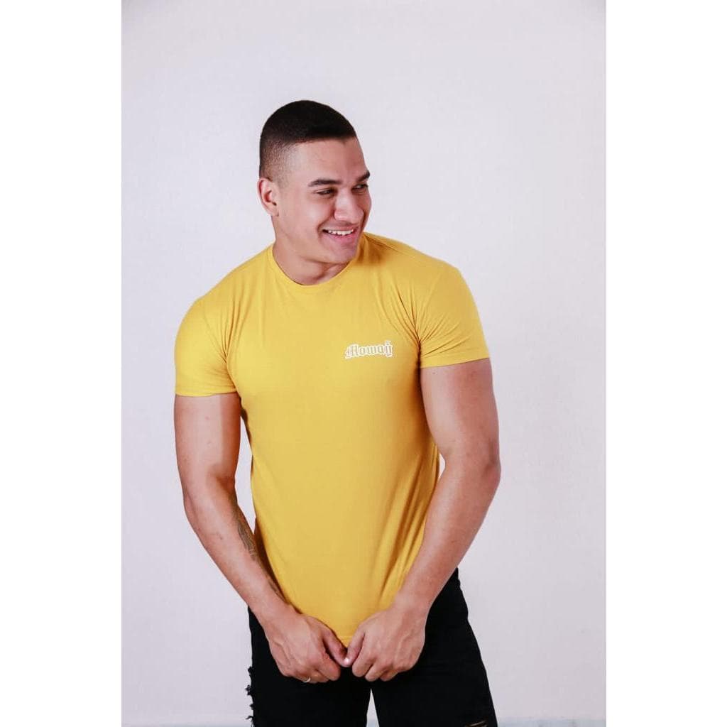 KIT 2 Camiseta Básica Masculina Lisa 100% Algodão