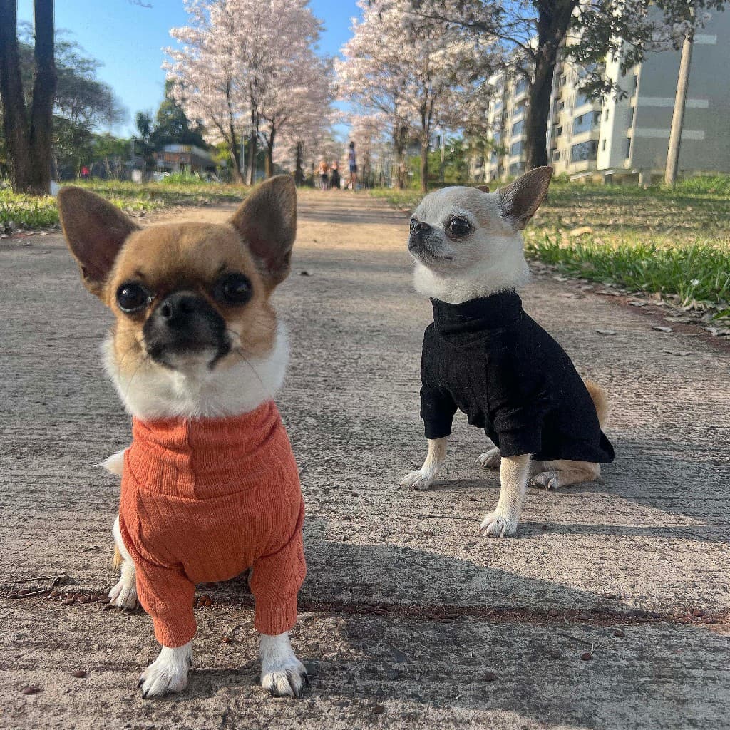 Roupa pet camiseta malha canelada para cachorro e gato