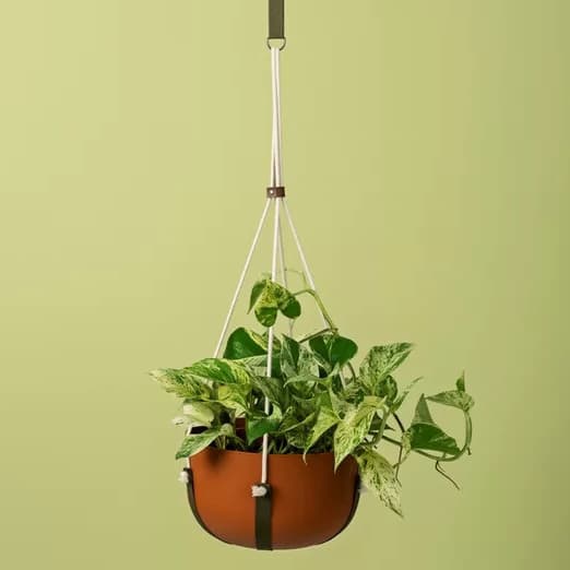 Alça para Pendurar Vasos Macrame Artesanal