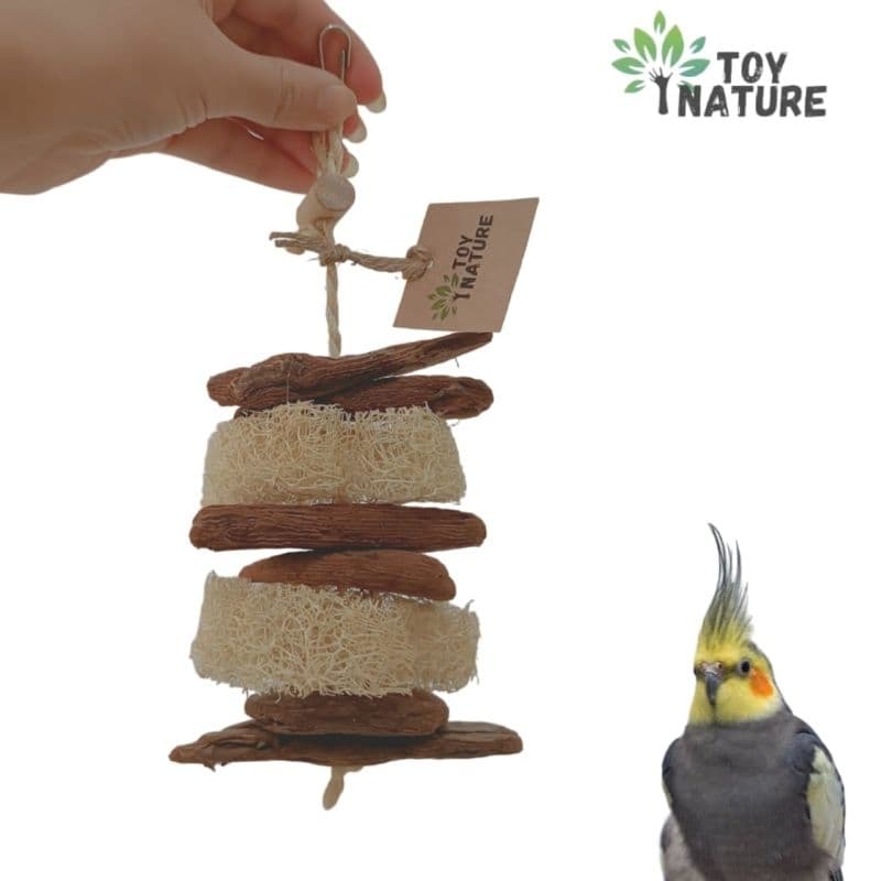 Brinquedo Calopsita 100% natural Bucha Vegetal aves mordedor toy nature