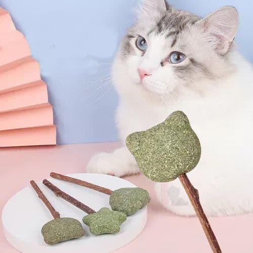 Kit 03 Pirulitos Brinquedo para Gatos Catnip Matatabi Erva Varinha Pirulito