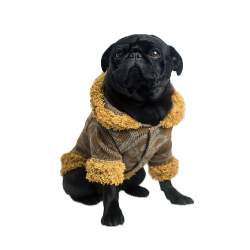 Kit 10 Roupa Pet Para Cachorro Pet Shop SORTIDAS Roupinhas Atacado Revenda Tricot Pet Shop Atacado