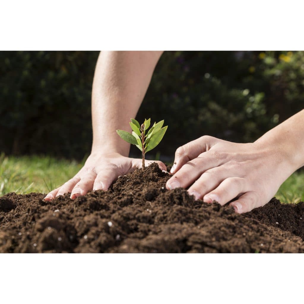 Terra Vegetal Adubada 20 kilos
