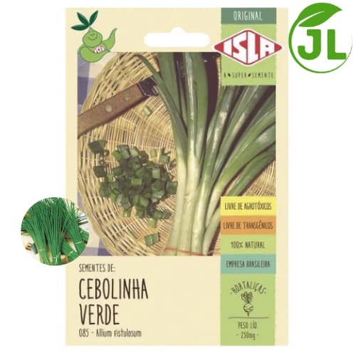 ISLA Sementes De Cebolinha ótimo Tempero