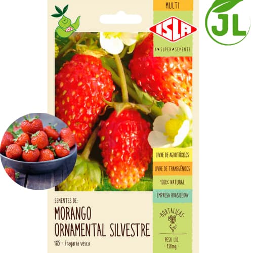 Sementes De Morango Ornamental Silvestre Frutas Suculentas