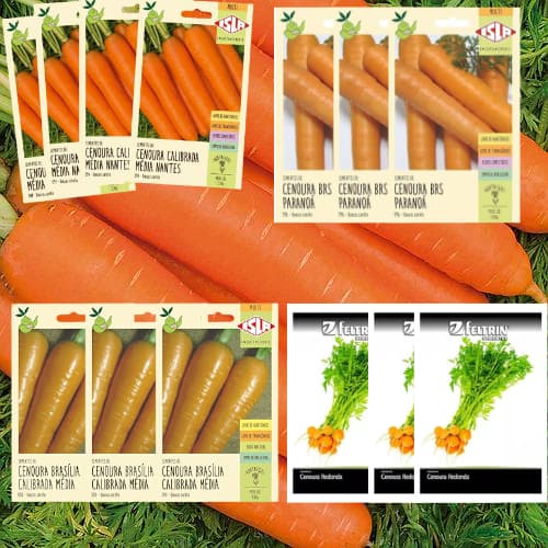 Sementes De Vários Tipos De Cenoura,  Média / Paranoá / Redonda - Sementes Originais Isla E Feltrin . Ricas Em Vitamina A, Essencial Para a Saúde Da Visão, Fonte De Fibras Dietéticas Direto Na Sua Horta!!