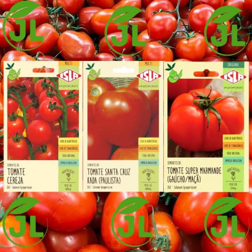 Sementes De Tomate Cereja e chapolin - Sementes Originais Isla
