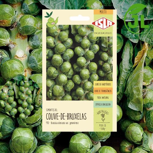 Sementes De Couve De Bruxelas