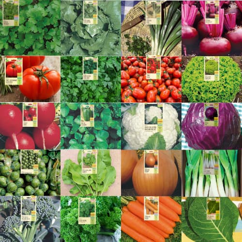 3260 Sementes Verduras E Legumes + De 19 Variedades - Qualidade Isla !! Coentro,Pimenta Biquinho,Tomate,Couve E Varias Outras Para Uma Horta Colorida,Deliciosa E Super Saudável !!