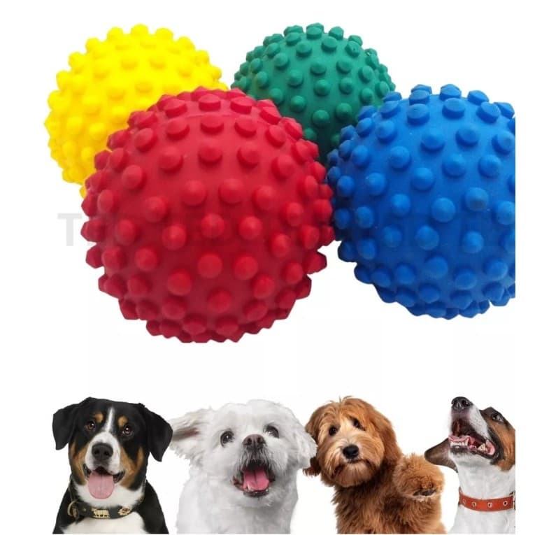2 Bolinhas Cravo Pet Fisioterapia Pula Cachorro Anti Stress