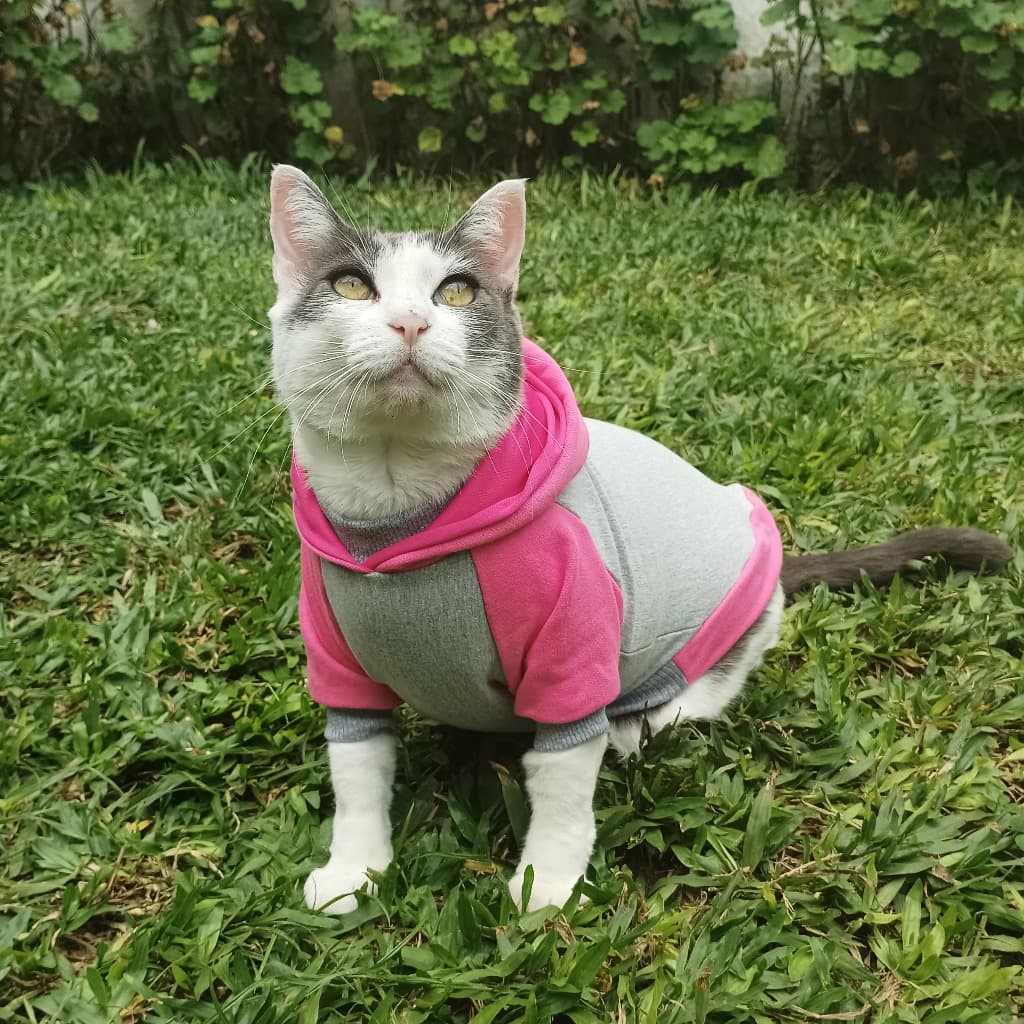 Moletom pet com capuz  para cachorro e gato