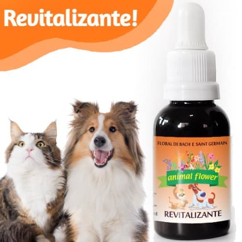 Animal Flower Floral Pet Revitalizante Floral de Bach Para Pet Apáticos